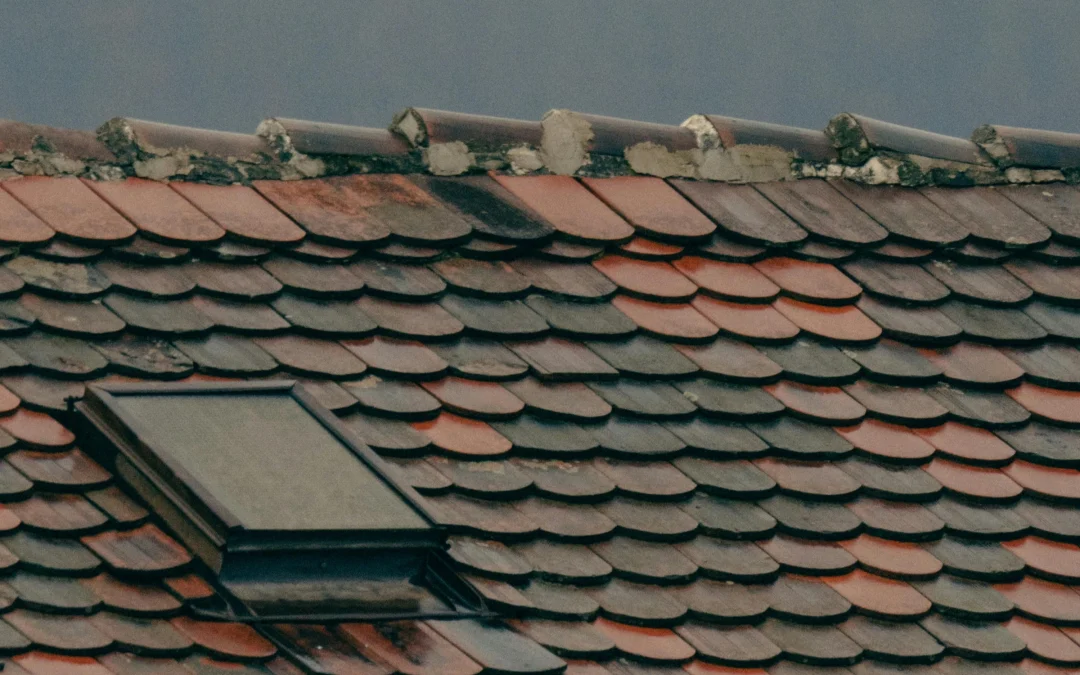Does Flex Seal Really Work On Roofs?
