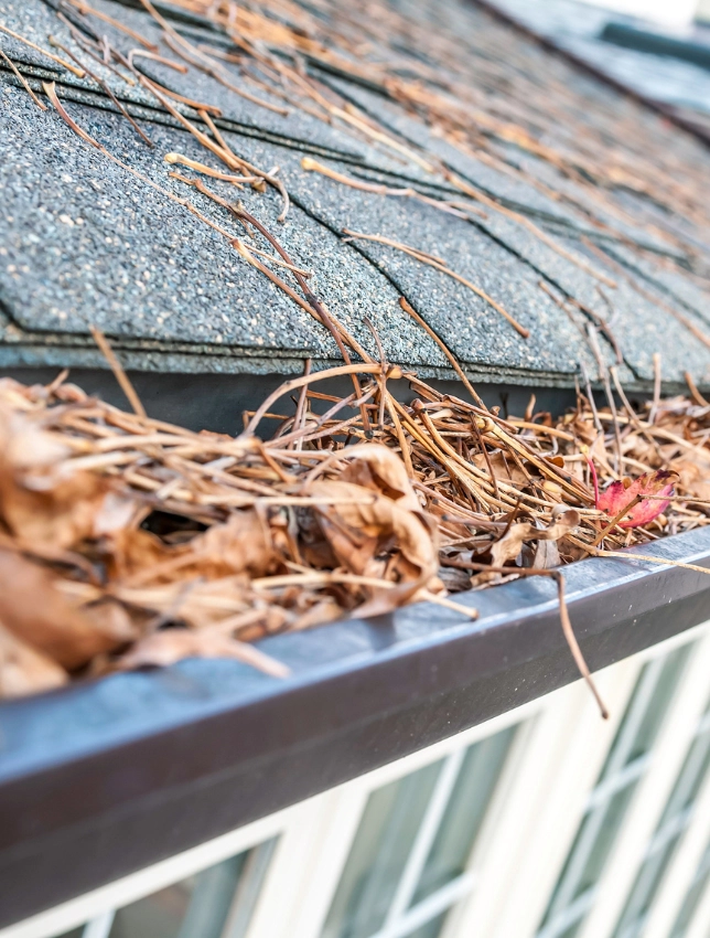 clogged dirty gutter